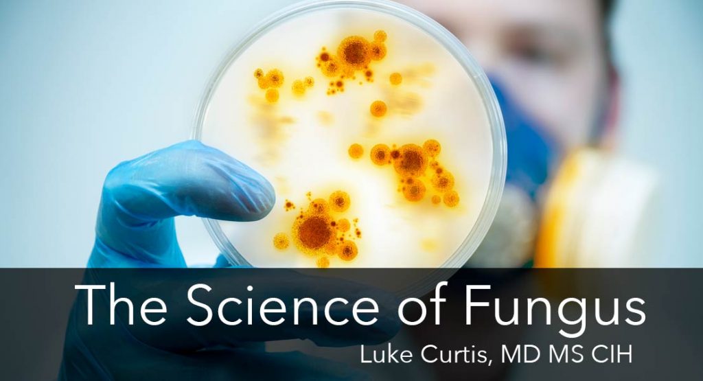 science-of-fungus-554px