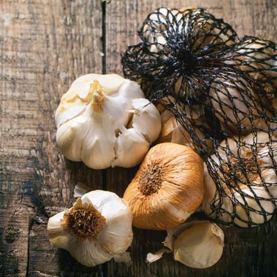 garlic-antifungal-guide