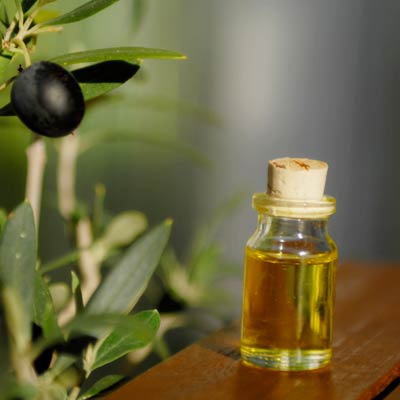 olive-leaf-antifungal-guide
