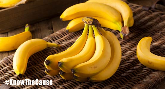 bananas-phase-one-554px