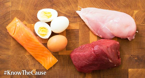 Top 6 Sources of Protein | The Kaufmann Diet - Know the Cause