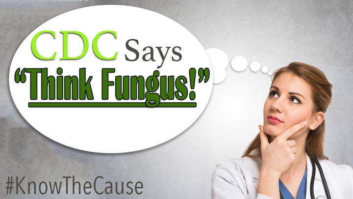 cdc-think-fungus-fungal-disease-awareness