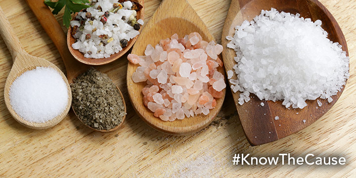 Is Salt OK On The Kaufmann Diet?