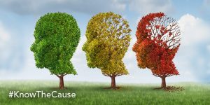What Causes Alzheimers