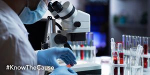 Antibodies Fight Candida