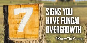 Signs of a Fungal Overgrowth