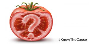 GMO Foods