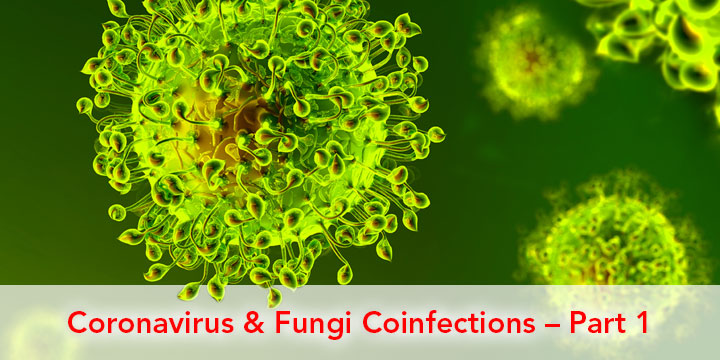 Coronavirus And Fungi Part 1