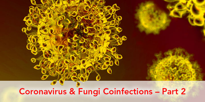 Coronavirus And Fungi Part 2