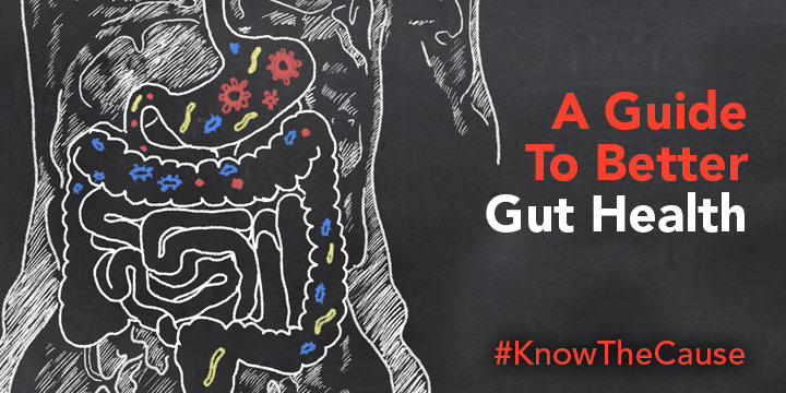 A Guide to better Gut Health