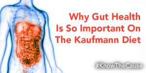 Why Gut Health is so important on the Kaufmann Diet