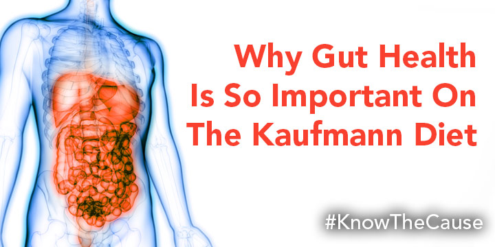 Why Gut Health is so important on the Kaufmann Diet