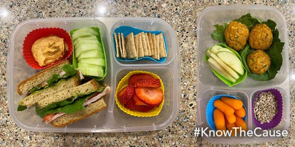 Make Ahead Lunches - Doug Kaufmann's Know the Cause