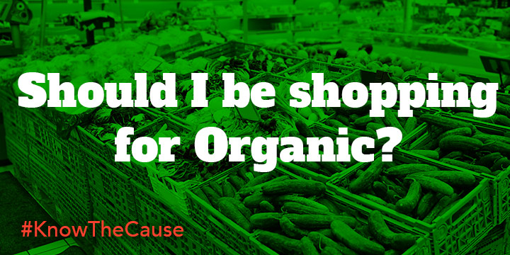 Shopping For Organic