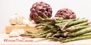 prebiotics