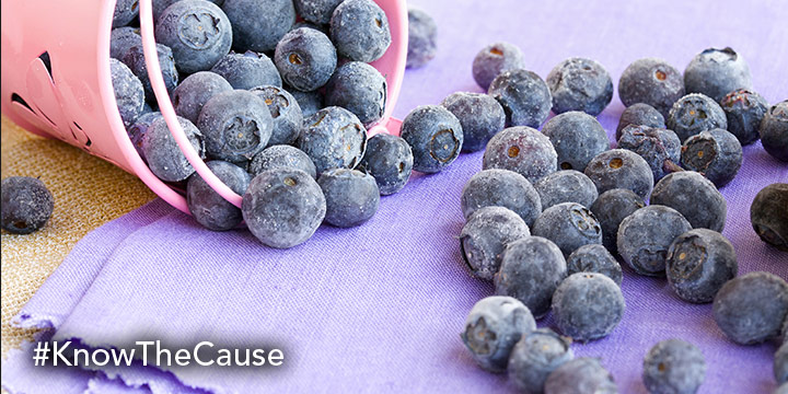 Blueberries And Brain Health