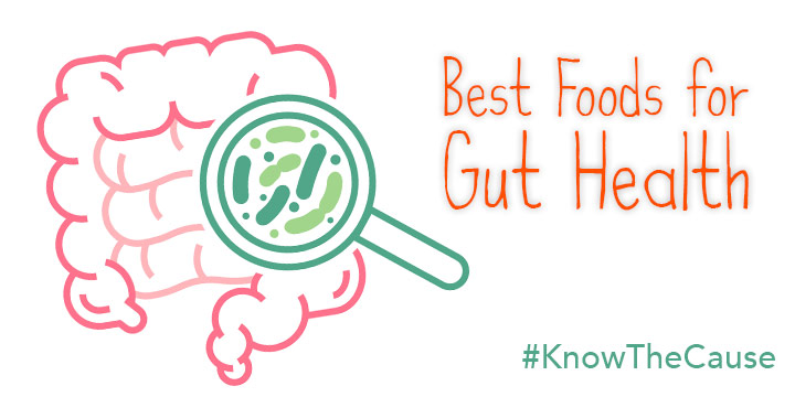 Foods For Gut Health