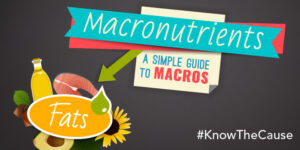 Macronutrients Fats